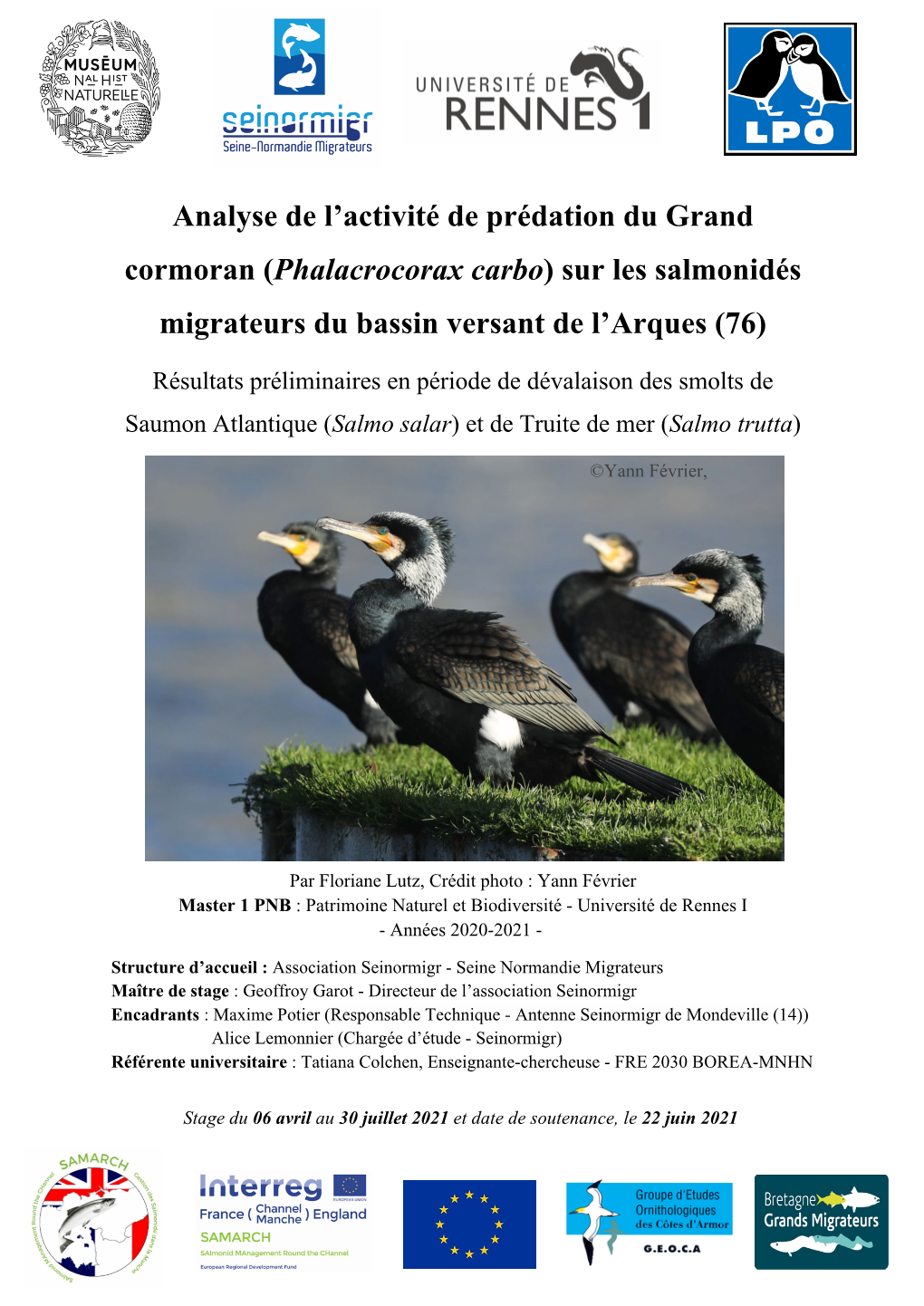 Analyse De L'activité De Prédation Du Grand Cormoran