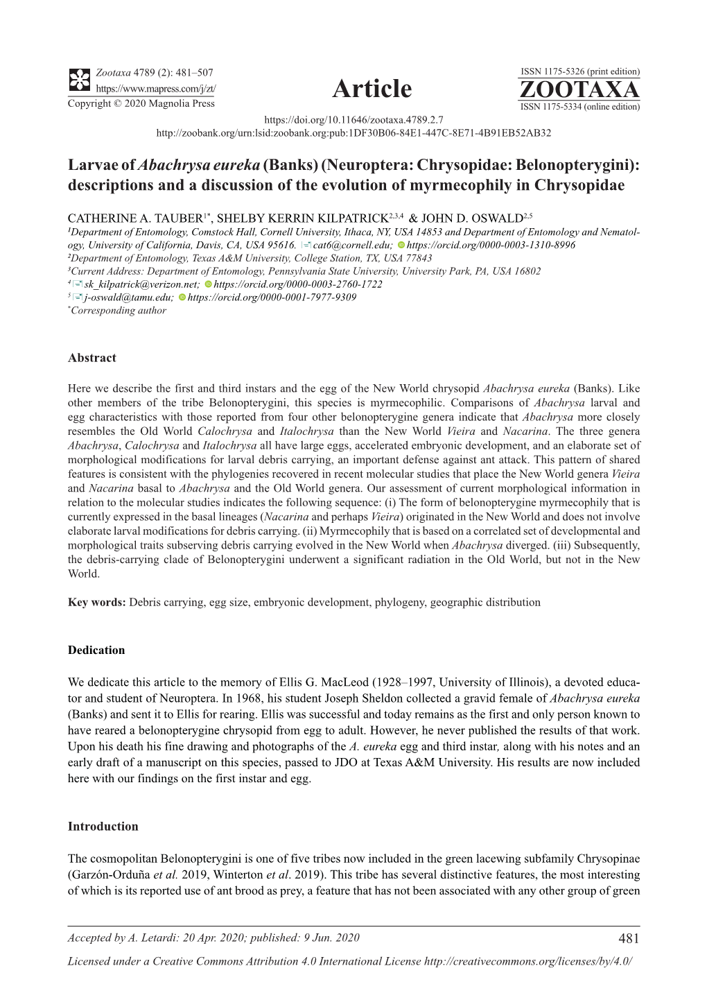 Larvae of Abachrysa Eureka (Banks) (Neuroptera: Chrysopidae: Belonopterygini): Descriptions and a Discussion of the Evolution of Myrmecophily in Chrysopidae