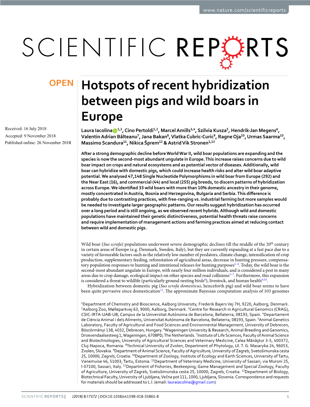 Hotspots of Recent Hybridization Between Pigs and Wild Boars In