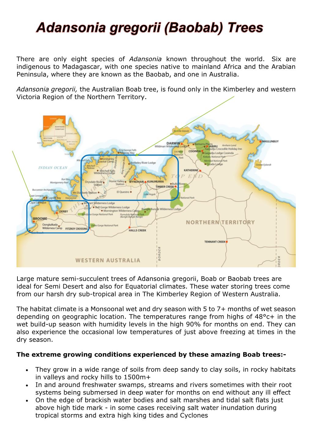 Adansonia Gregorii Tree Information