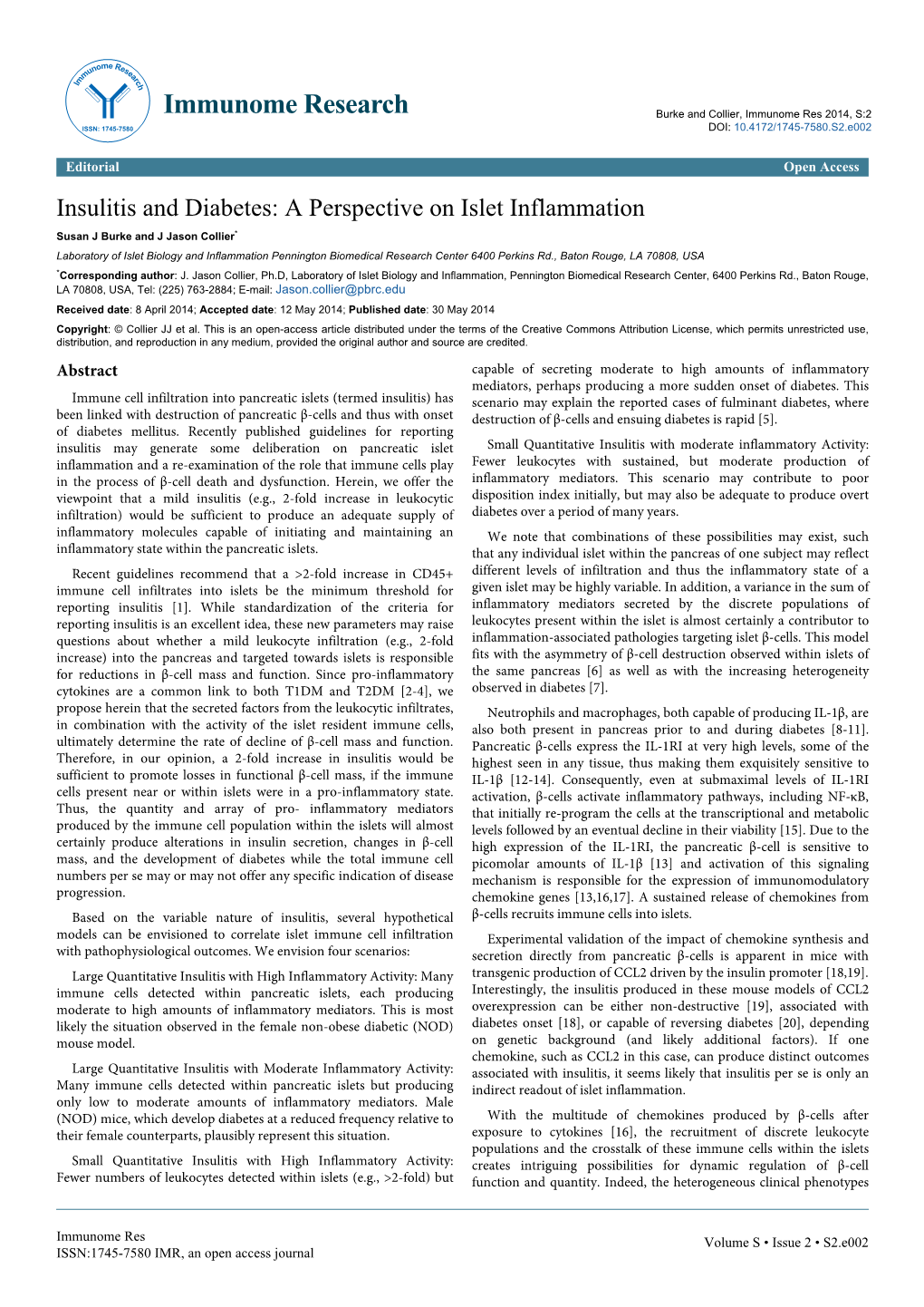 Insulitis and Diabetes: a Perspective on Islet Inflammation