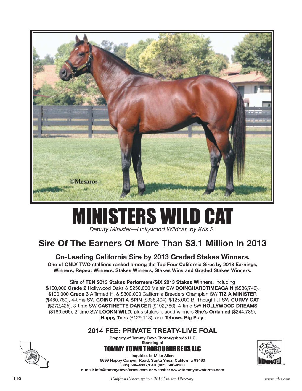 MINISTERS WILD CAT Deputy Minister—Hollywood Wildcat, by Kris S