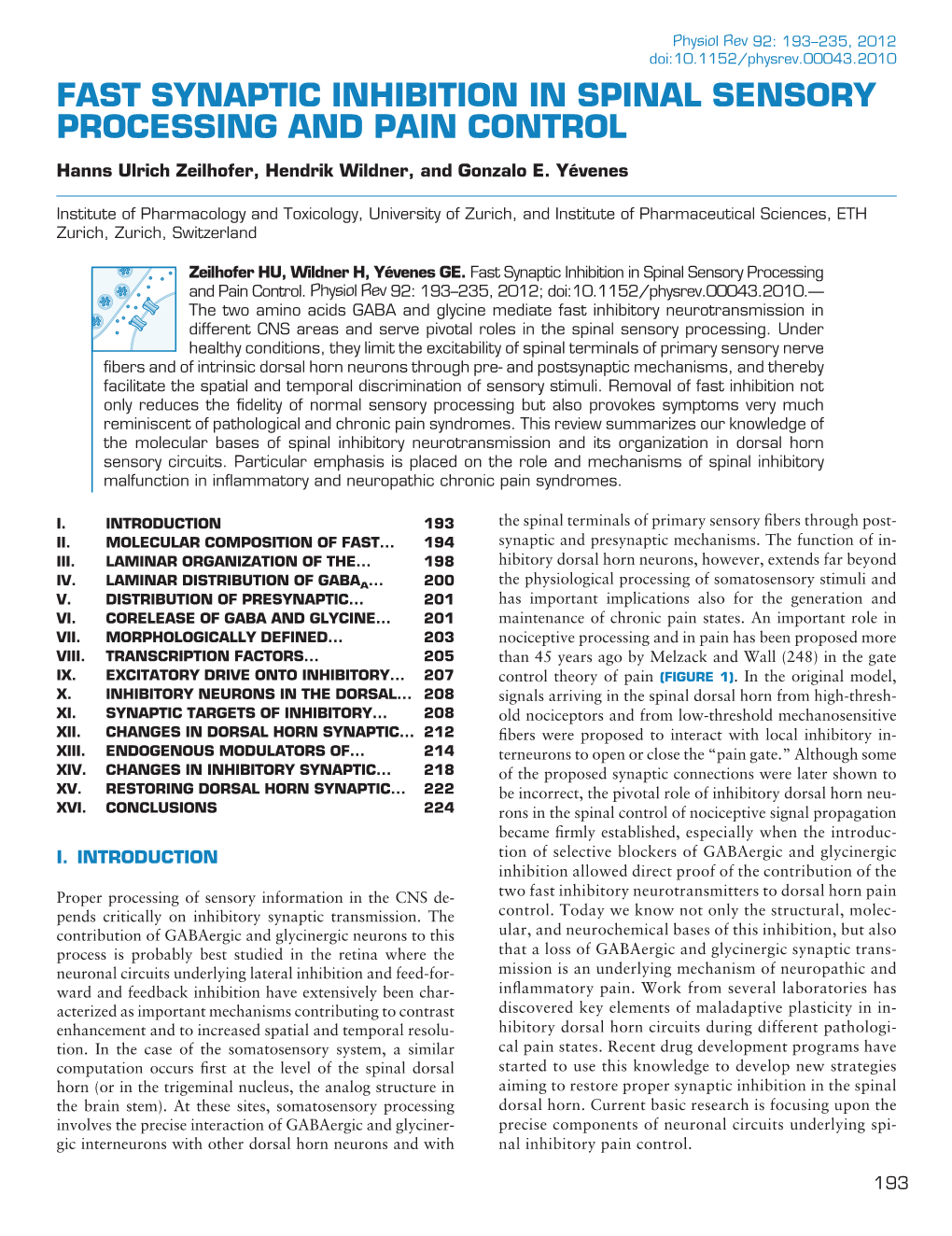 Fast Synaptic Inhibition in Spinal Sensory Processing and Pain Control