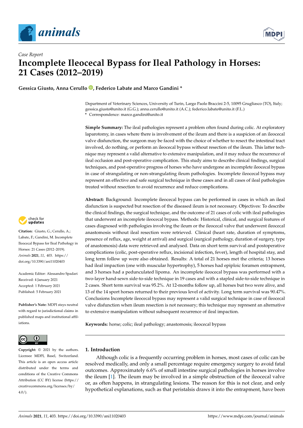 Incomplete Ileocecal Bypass for Ileal Pathology in Horses: 21 Cases (2012–2019)