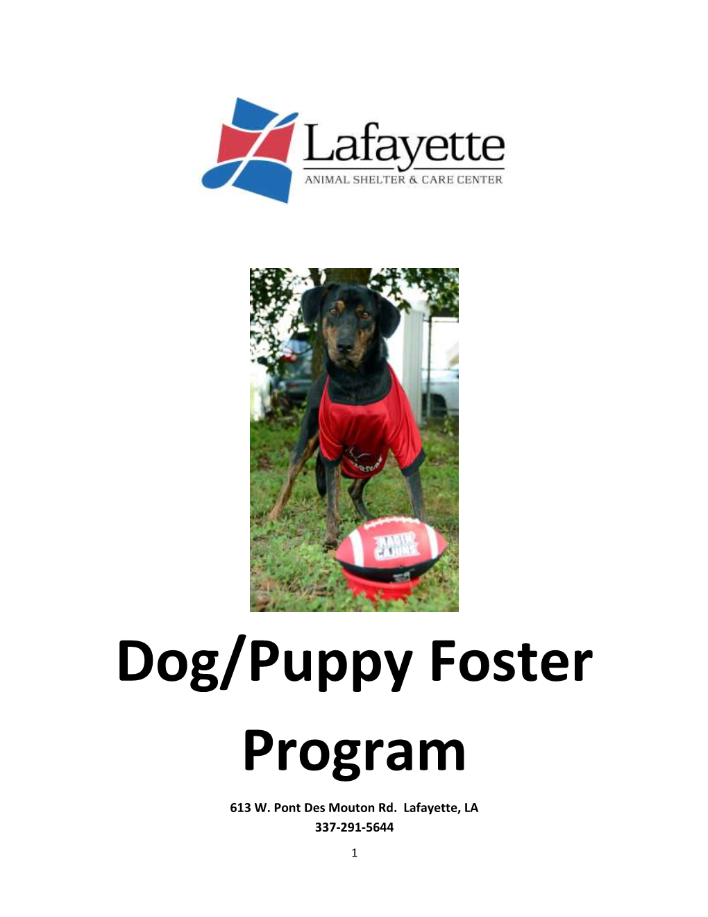 Dog/Puppy Foster Program