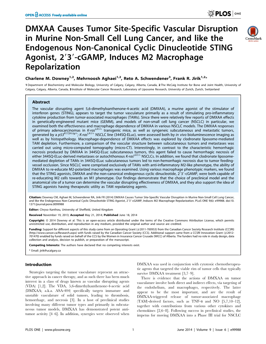 DMXAA Causes Tumor Site-Specific Vascular Disruption