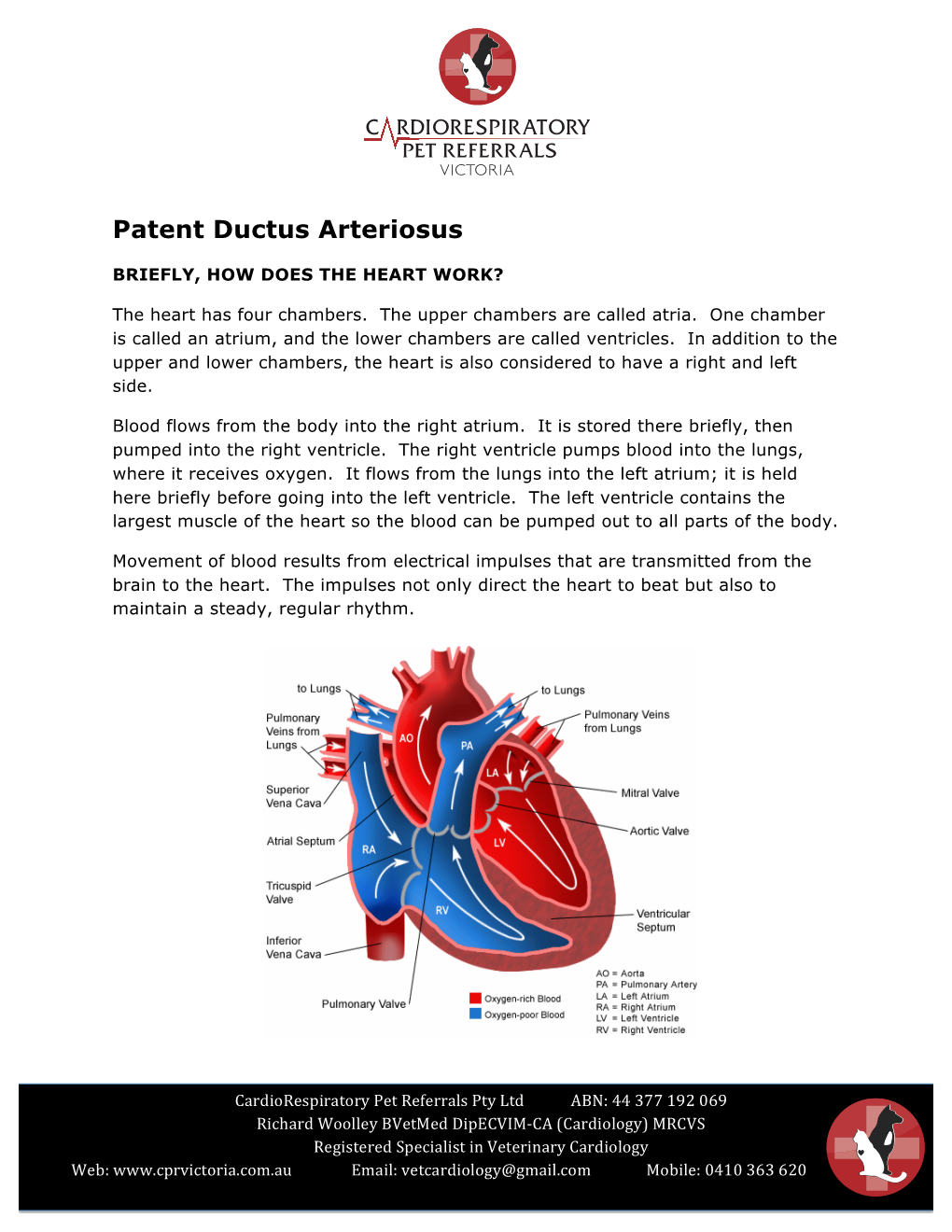 Patent Ductus Arteriosus