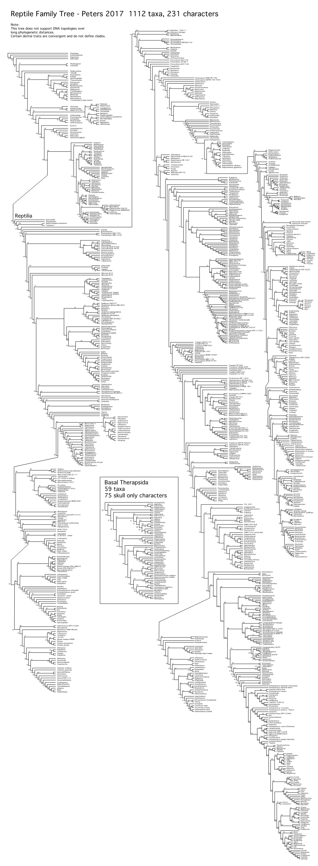 Reptile Family Tree - Peters 2017 1112 Taxa, 231 Characters