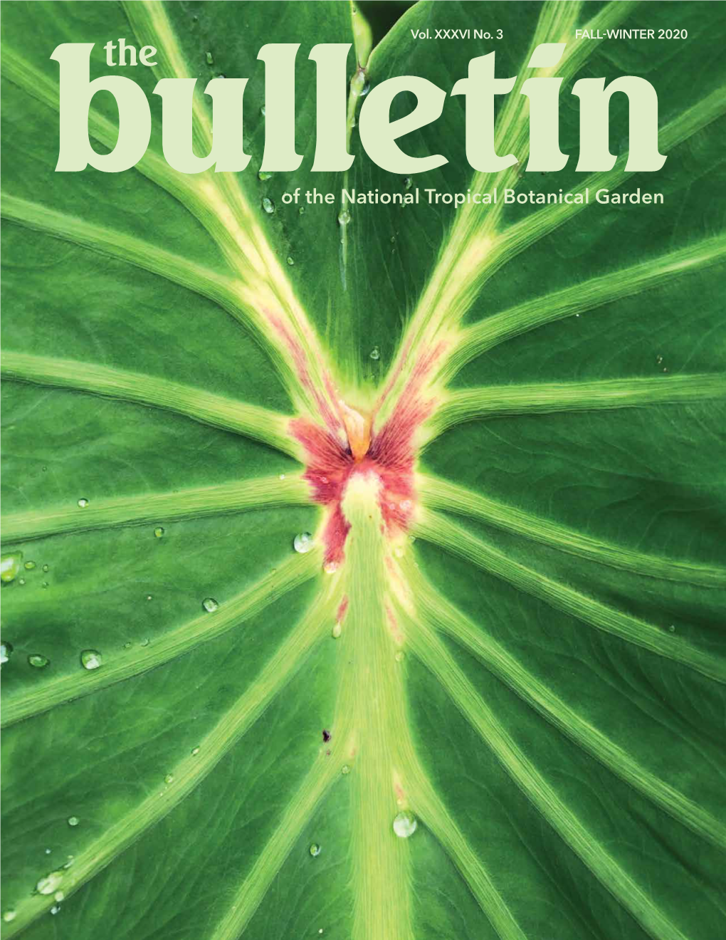 The Bulletin, 2020 Fall-Winter Issue