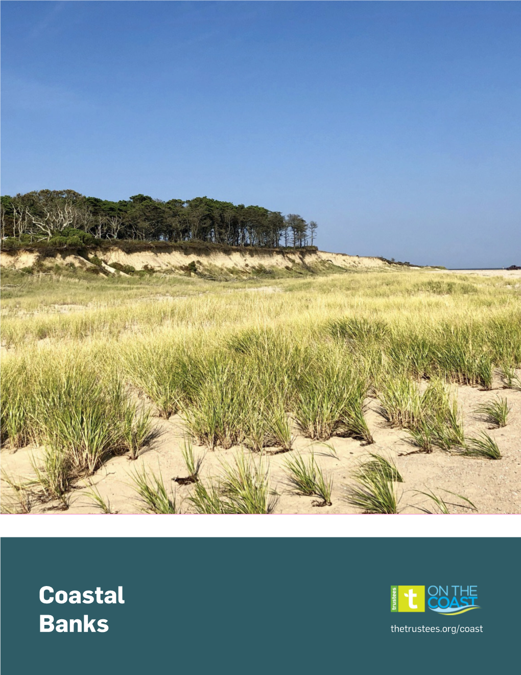 Coastal Banks and Potential Adaptation Inhabit an Ever-Changing Environment Where Storm Events Options Available to Coastal Bank Property Owners