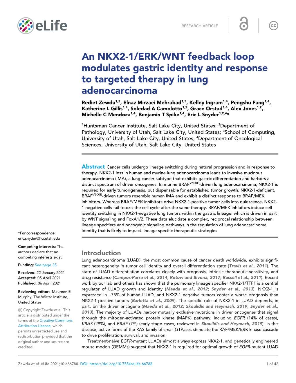 An NKX2-1/ERK/WNT Feedback Loop Modulates Gastric Identity And