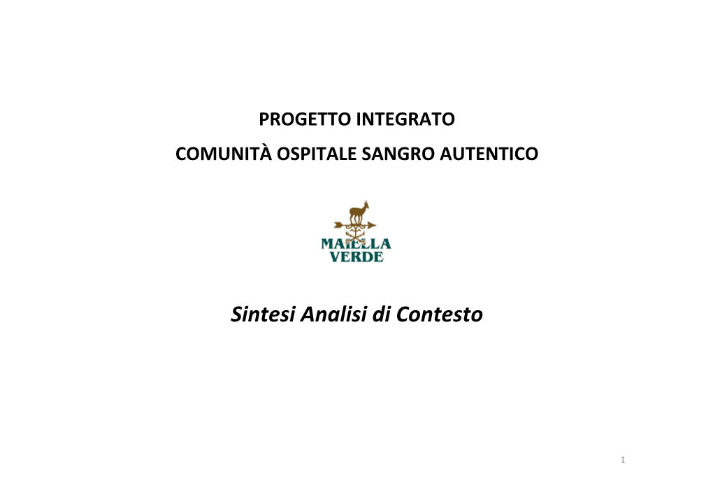 Sintesi Analisi Di Contesto