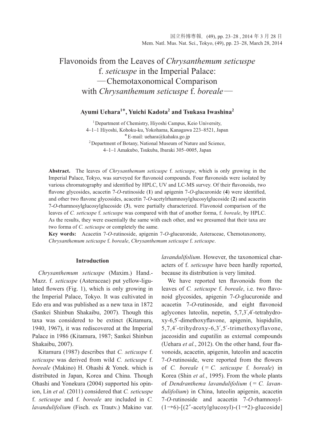 Chemotaxonomical Comparison with Chrysanthemum Seticuspe F