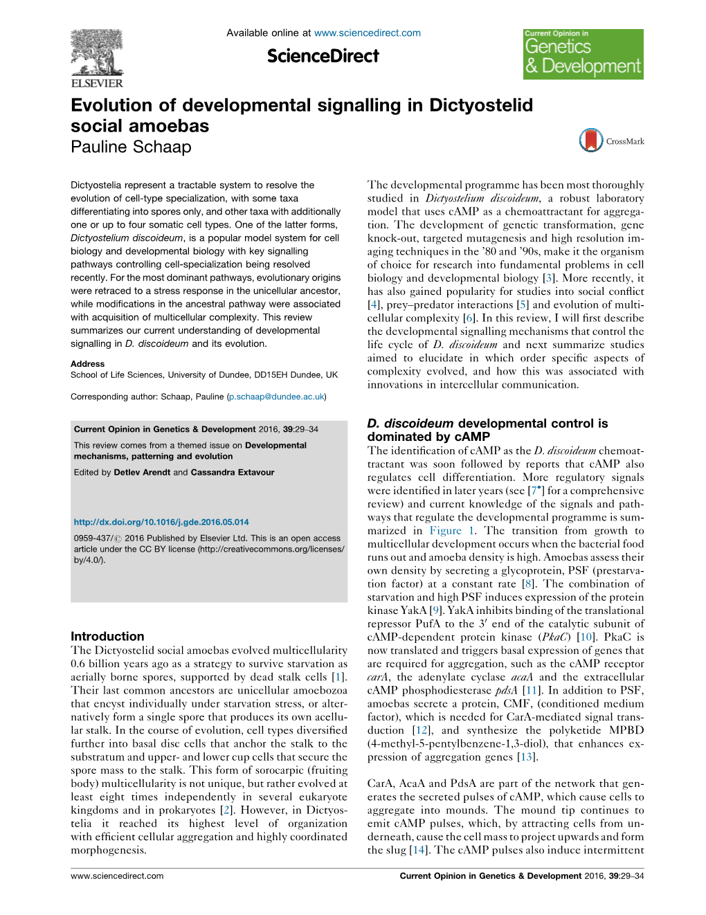 Evolution of Developmental Signalling in Dictyostelid Social Amoebas