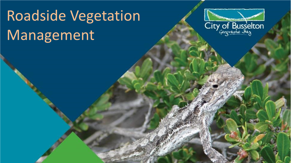 Roadside Vegetation Management