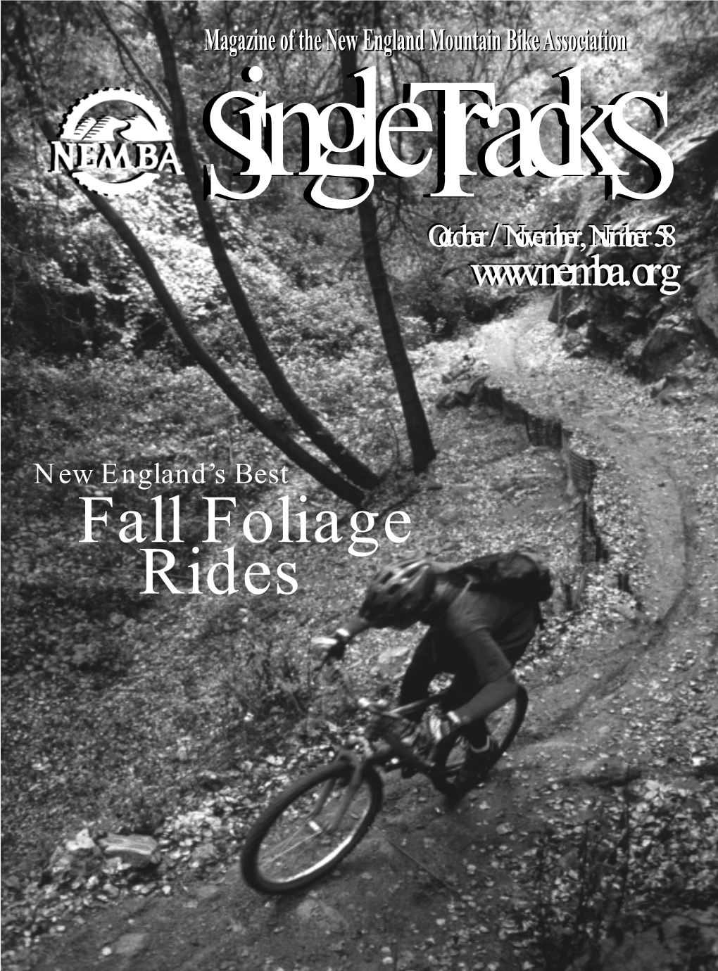 Fall Foliage Rides