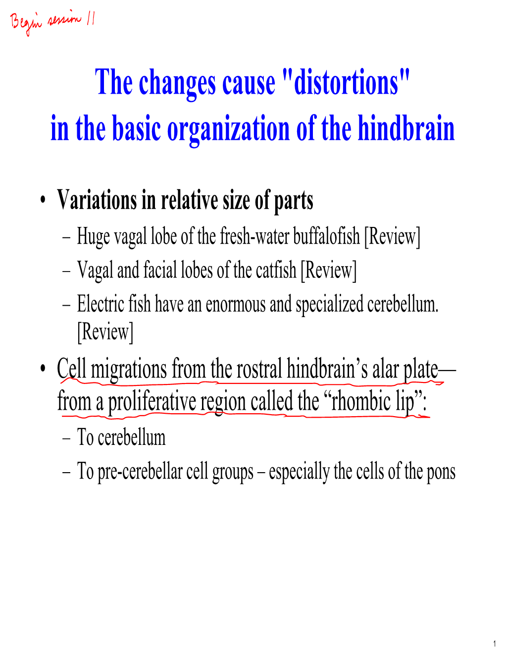 Why a Midbrain? Evolution, Structure and Functions Notes