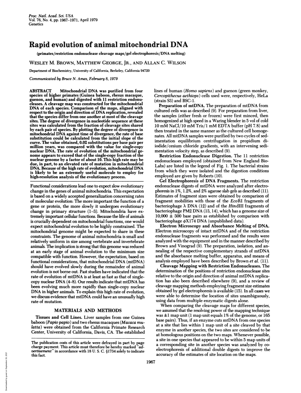 Rapid Evolution of Animal Mitochondrial DNA (Primates/Restriction Endonuclease Cleavage Maps/Gel Electrophoresis/DNA Melting) WESLEY M