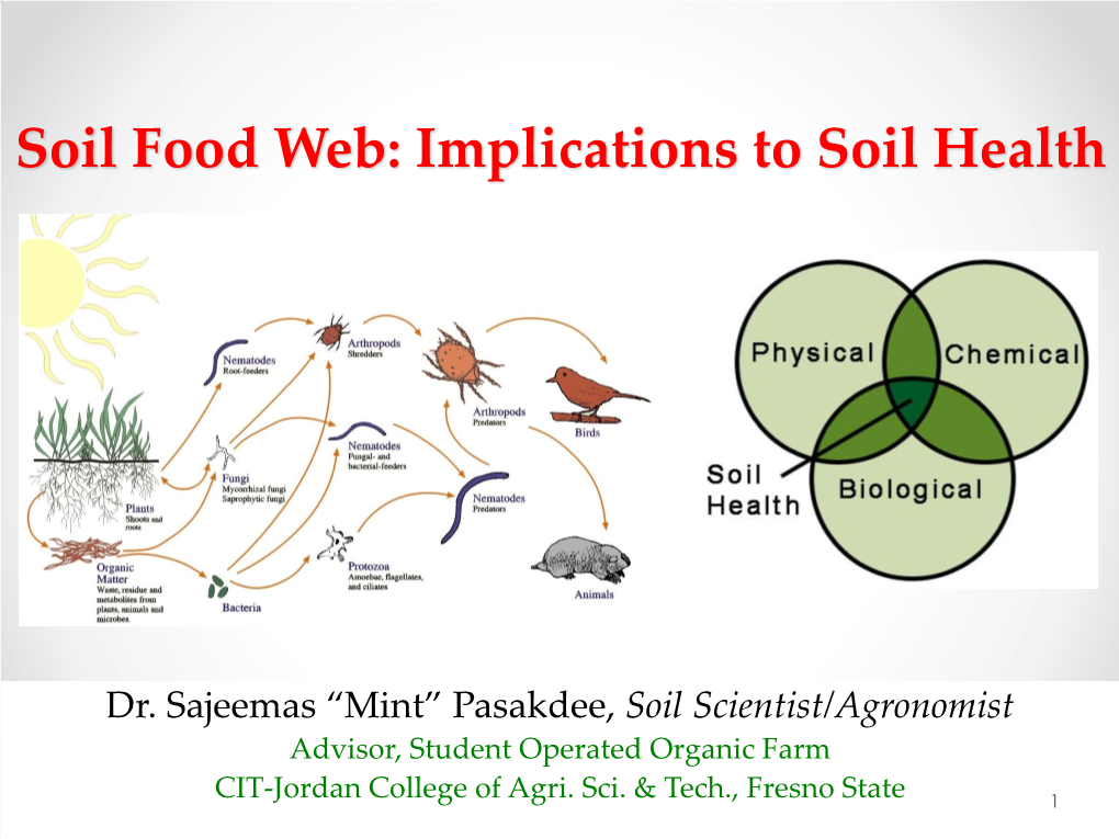 Soil Food Web: Implications to Soil Health