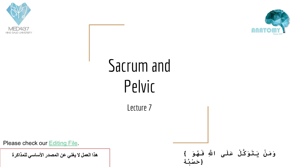 Sacrum and Pelvic Lecture 7