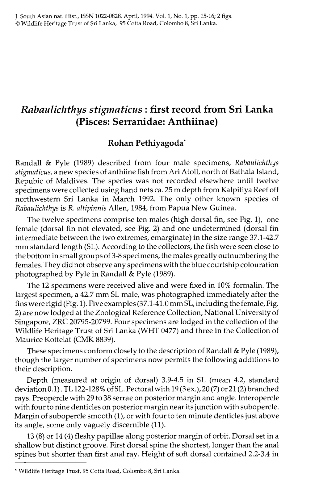 Rabaulichthys Stigmaticus : First Record from Sri Lanka (Pisces: Serranidae: Anthiinae)