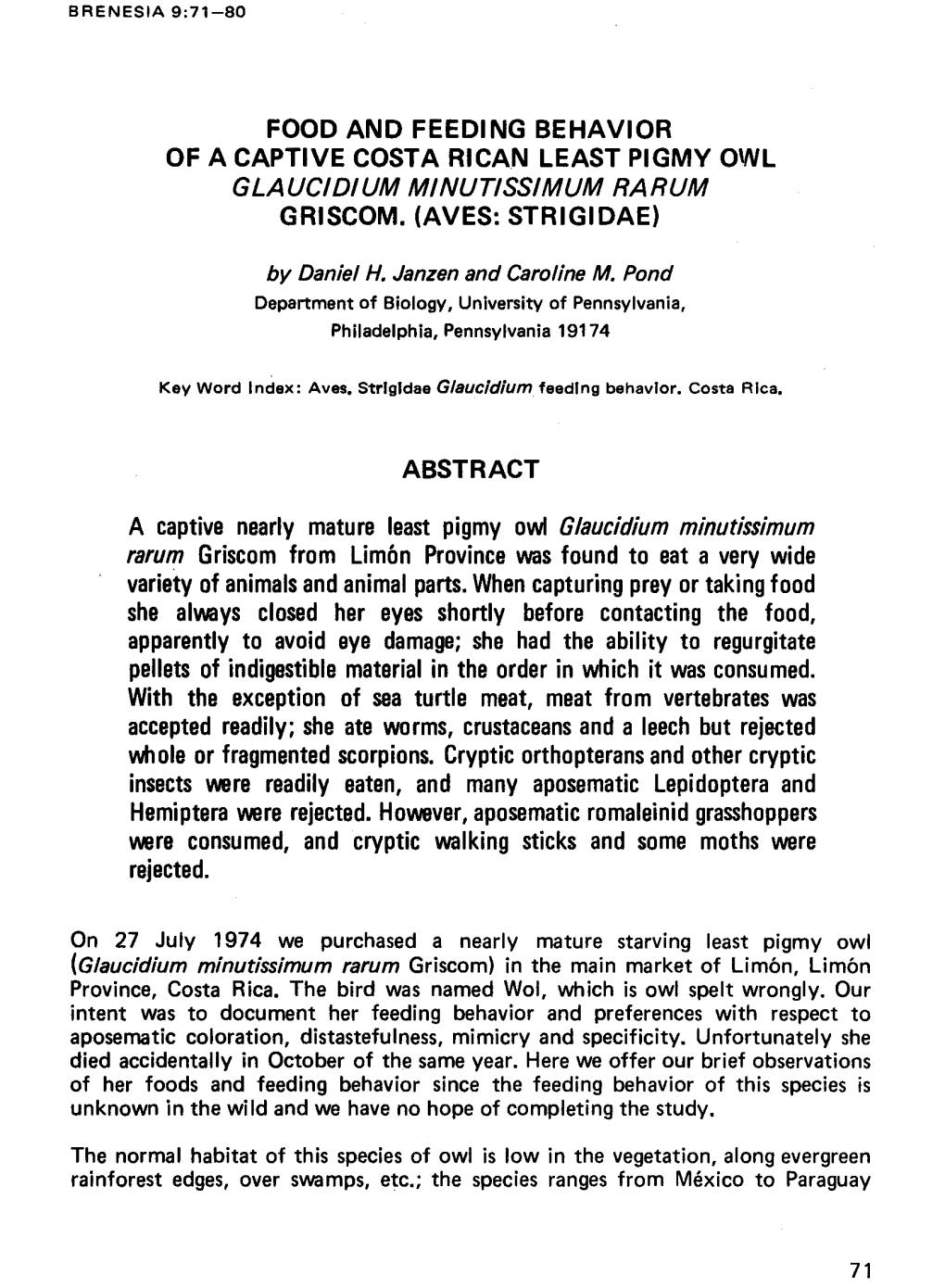 A Captive Nearly Mature Least Pigmy Owl Glaucidium Minutissimum Rarum Griscom from Limon Province Was Found to Eat a Very Wide Variety of Animals and Animal Parts