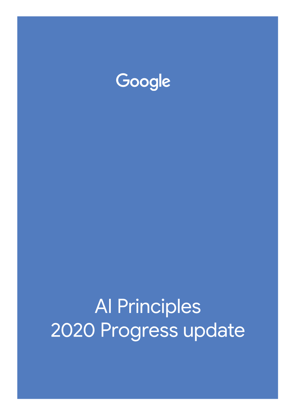 AI Principles 2020 Progress Update
