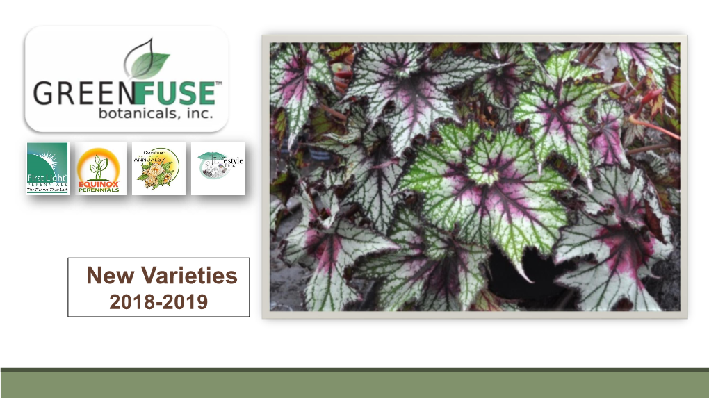 New Varieties 2018-2019 OPTIMUM ANNUALS™ from GREEN FUSE BOTANICALS Calibrachoa Cruze Control®