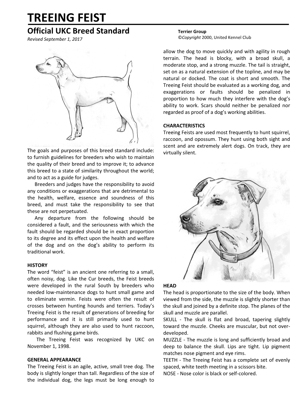 TREEING FEIST Official UKC Breed Standard Terrier Group Revised September 1, 2017 ©Copyright 2000, United Kennel Club