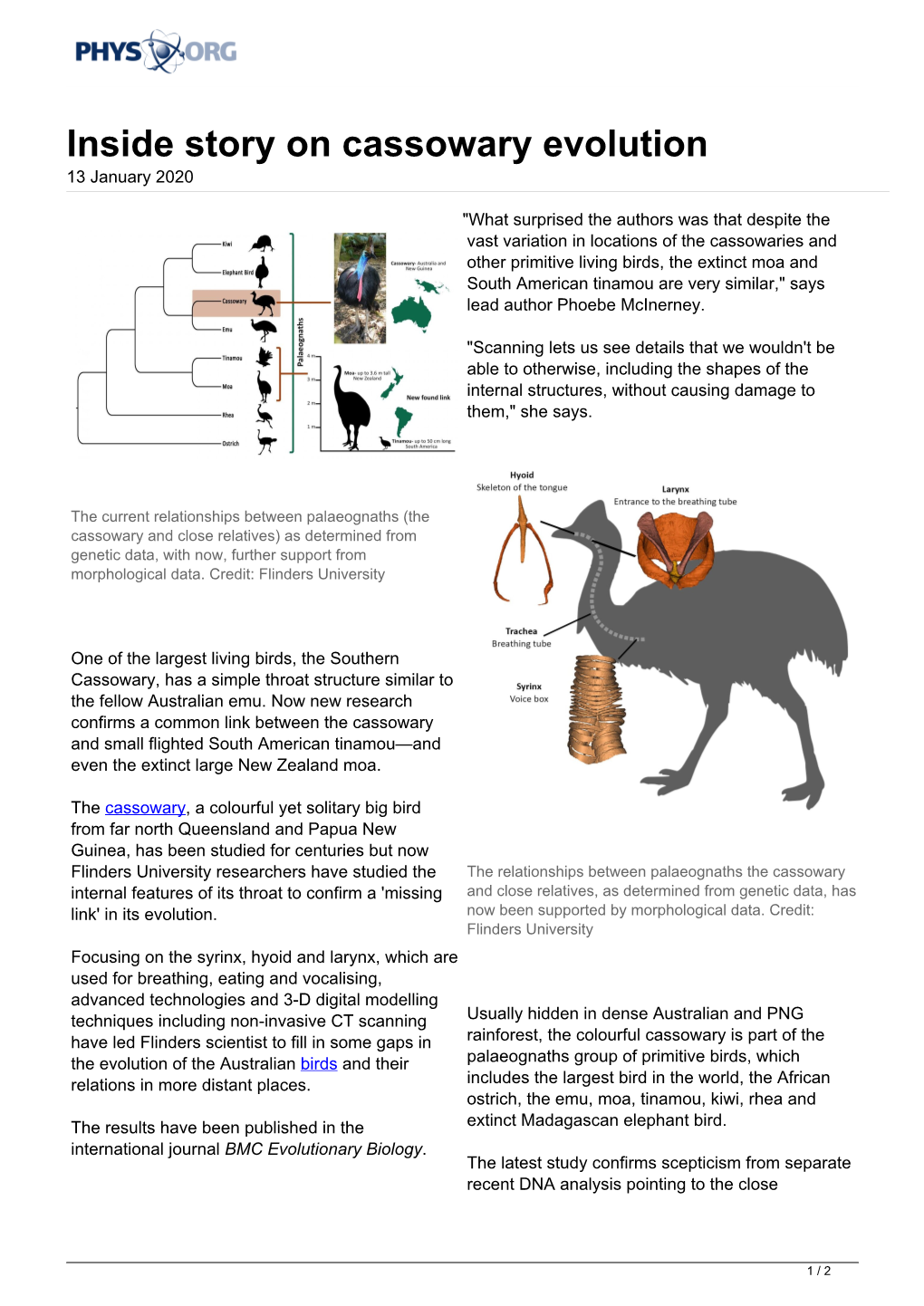 Inside Story on Cassowary Evolution 13 January 2020