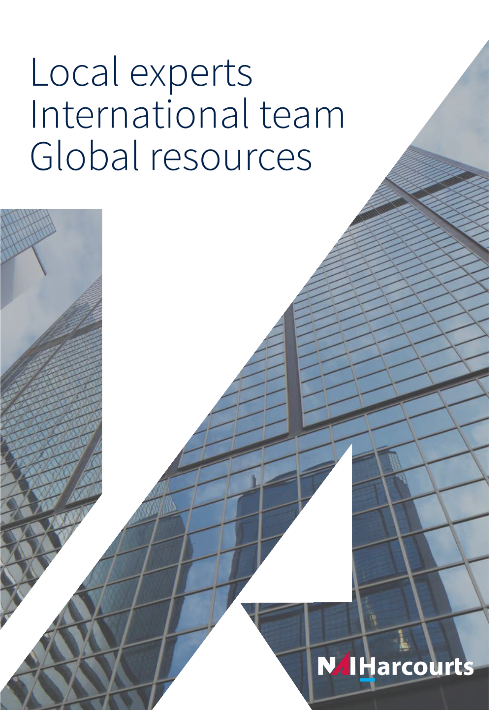 Local Experts International Team Global Resources