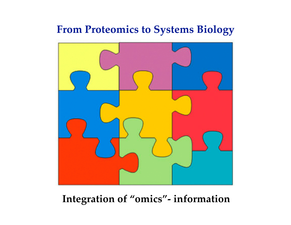 From Proteomics to Systems Biology