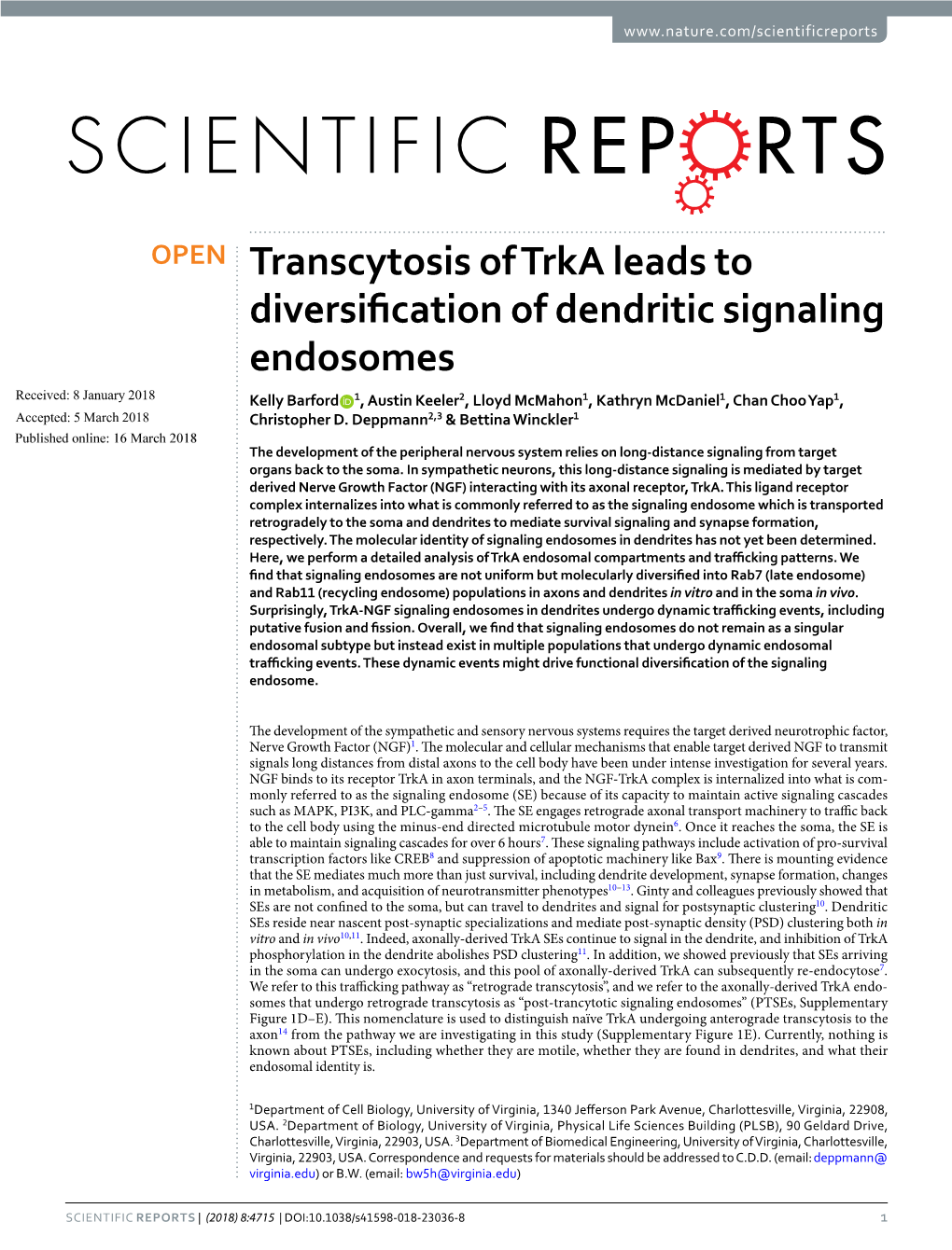 Transcytosis of Trka Leads to Diversification of Dendritic Signaling