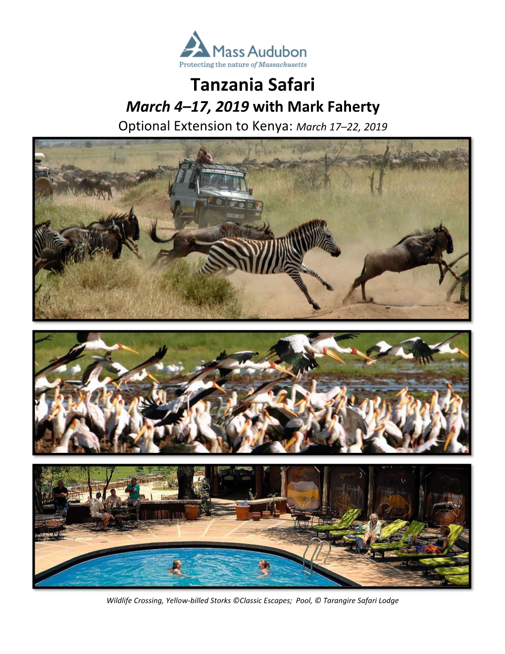 A 13-Day Wildlife Safari To