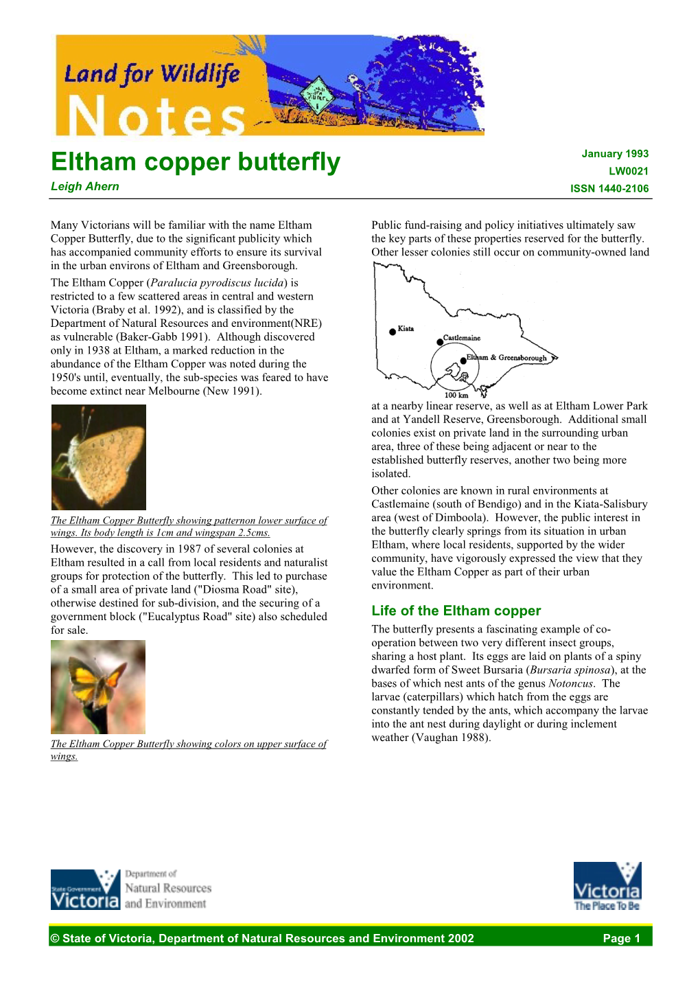 Eltham Copper Butterfly (VIC)