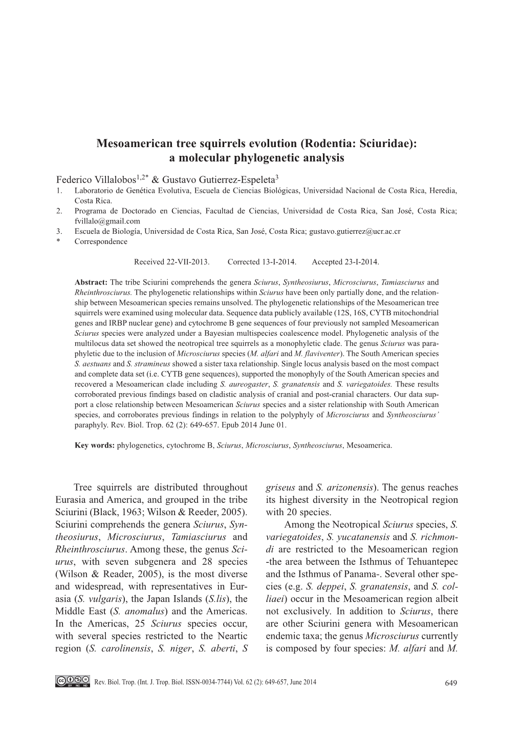 A Molecular Phylogenetic Analysis