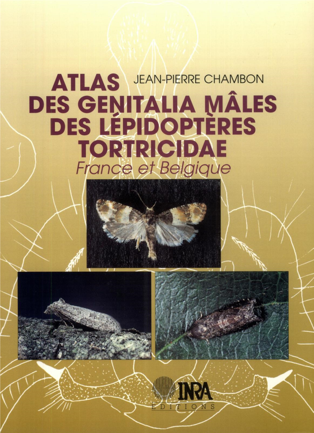 DES GENITALIA (Yiâles DES LEPIDOPTERES TORTRICIDAE France Et Belgique