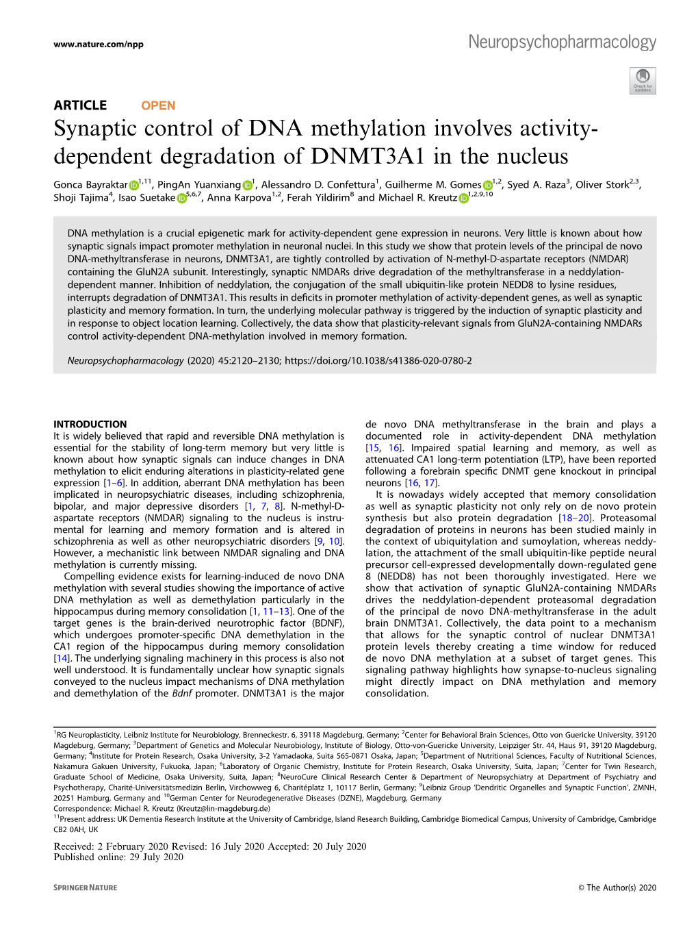 Synaptic Control of DNA Methylation Involves Activity-Dependent