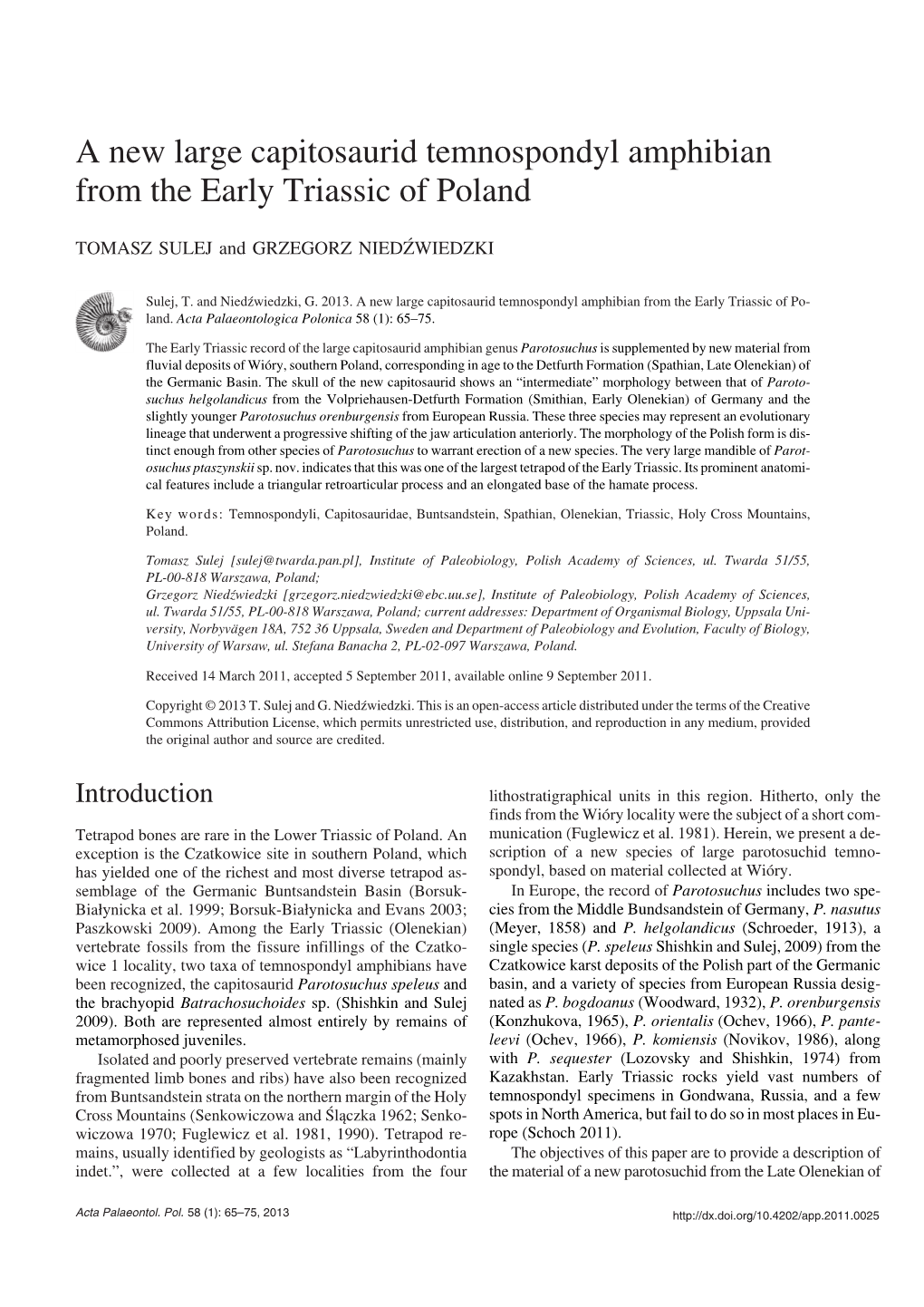 A New Large Capitosaurid Temnospondyl Amphibian from the Early Triassic of Poland