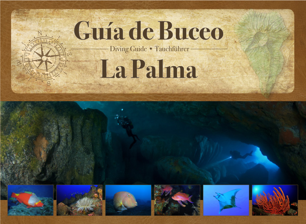 Diving Guide • Tauchführer La Palma Accesorios Accessories Ausrüstung Linterna Boya De Deco Torch Deco Buoy Lampe Deco Boje