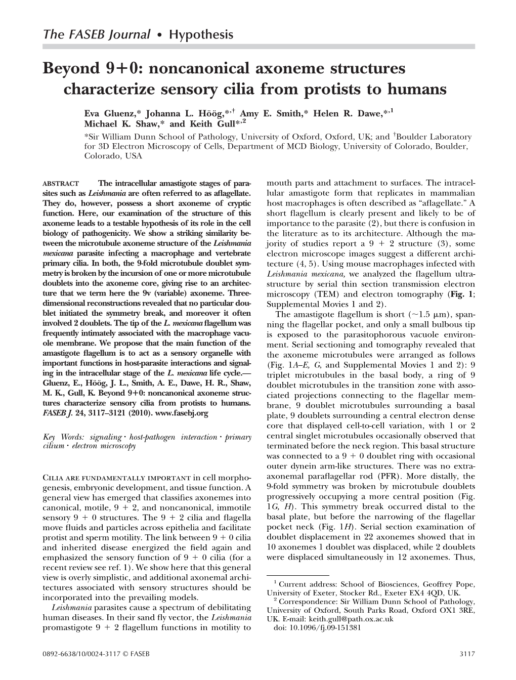 Noncanonical Axoneme Structures Characterize Sensory Cilia from Protists to Humans