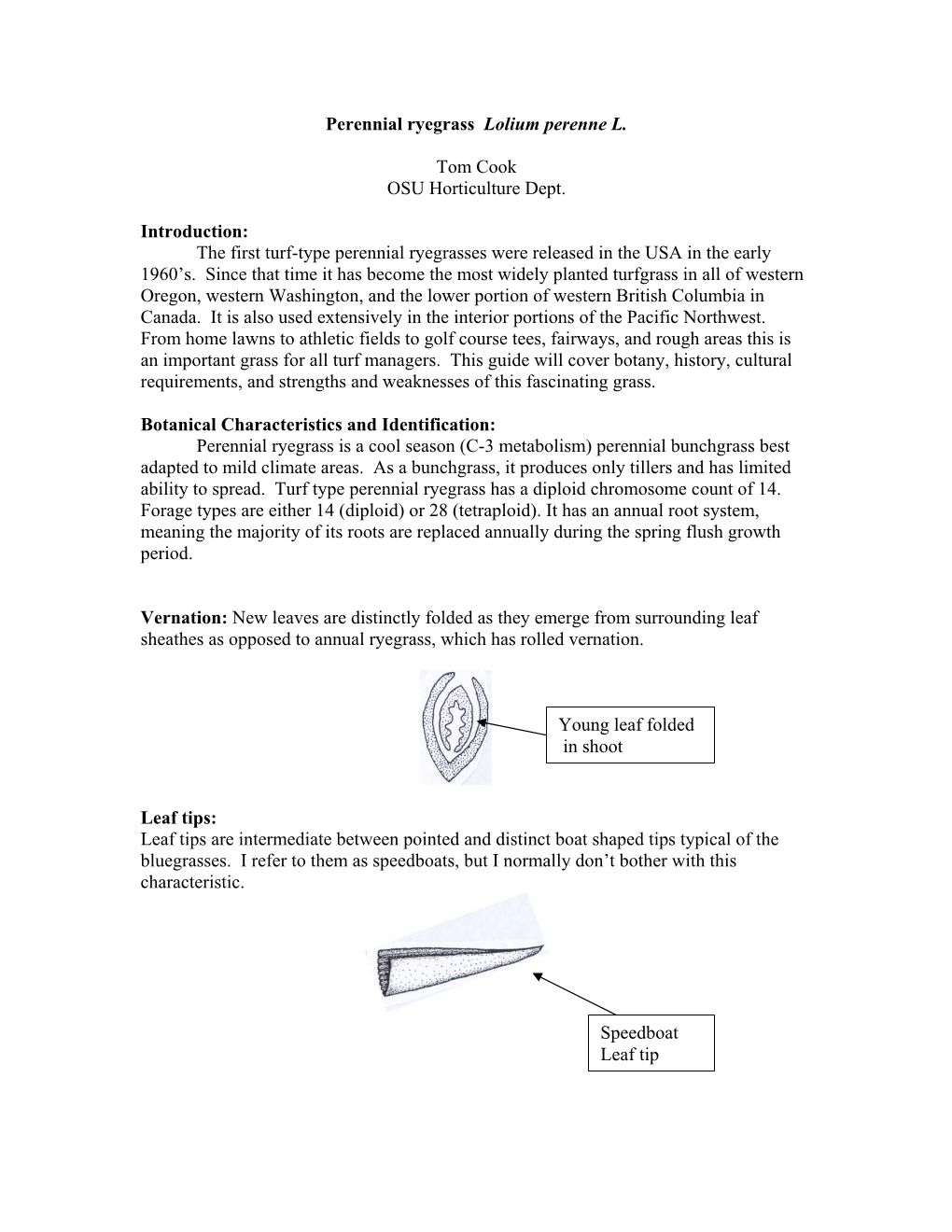 Perennial Ryegrass Lolium Perenne L. Tom Cook OSU Horticulture Dept