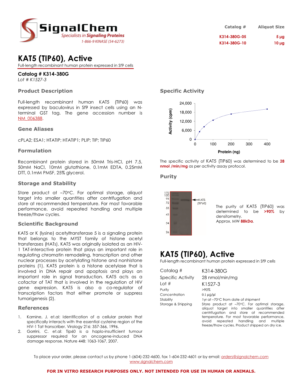 KAT5 (TIP60), Active Full-Length Recombinant Human Protein Expressed in Sf9 Cells