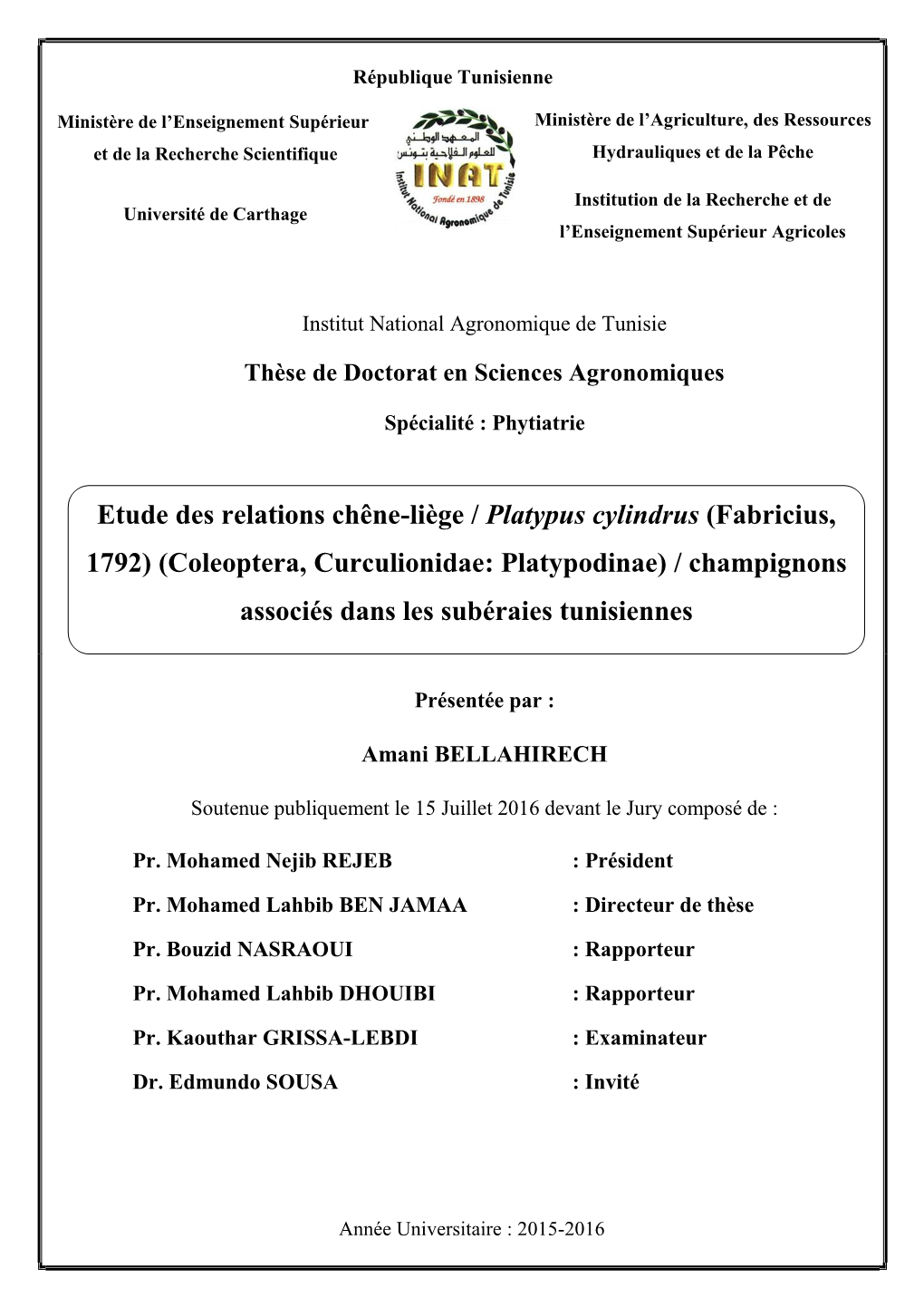 Etude Des Relations Chêne-Liège / Platypus Cylindrus