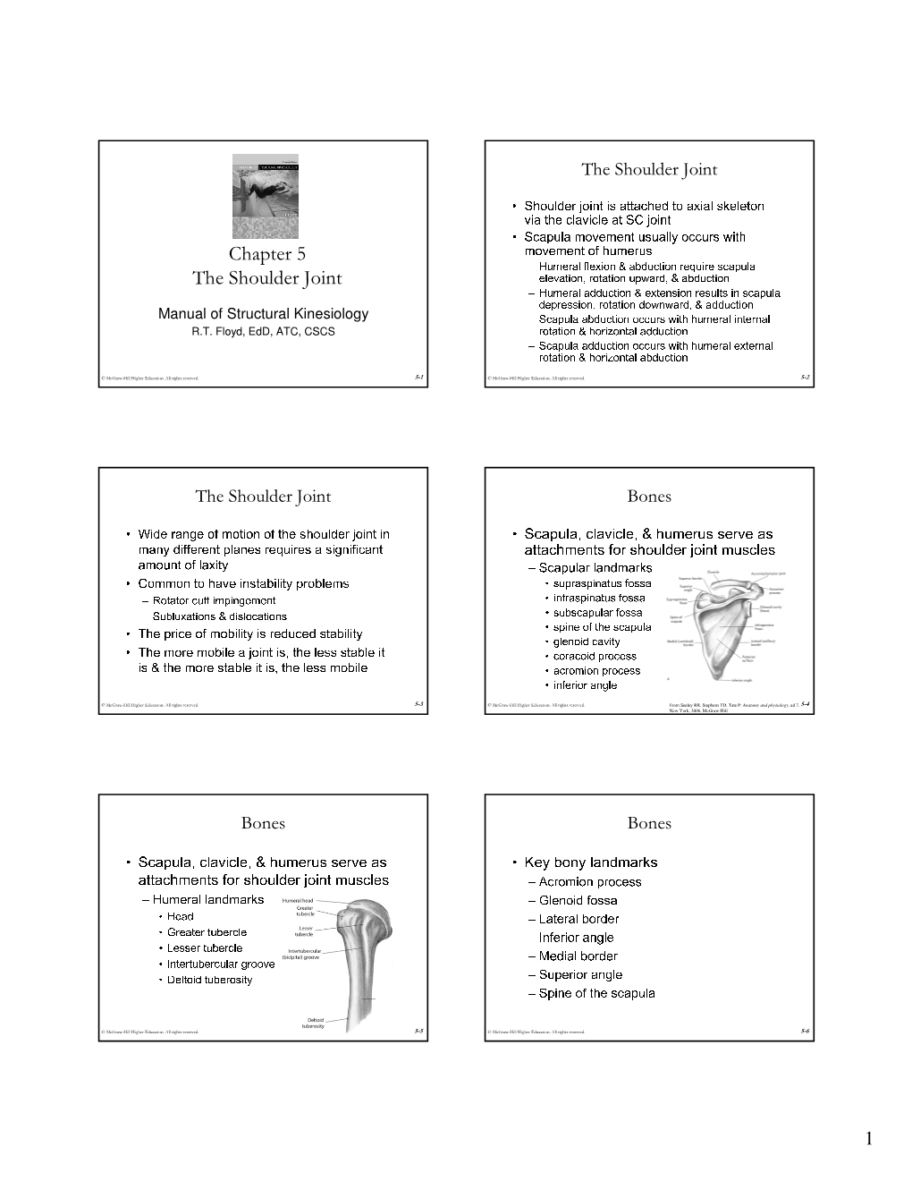 Chapter 5 the Shoulder Joint