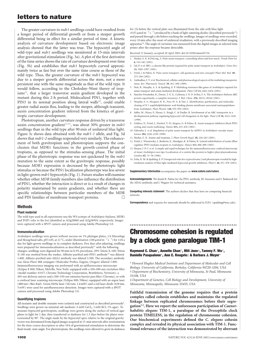 Chromosome Cohesion Is Regulated by a Clock Gene Paralogue TIM-1