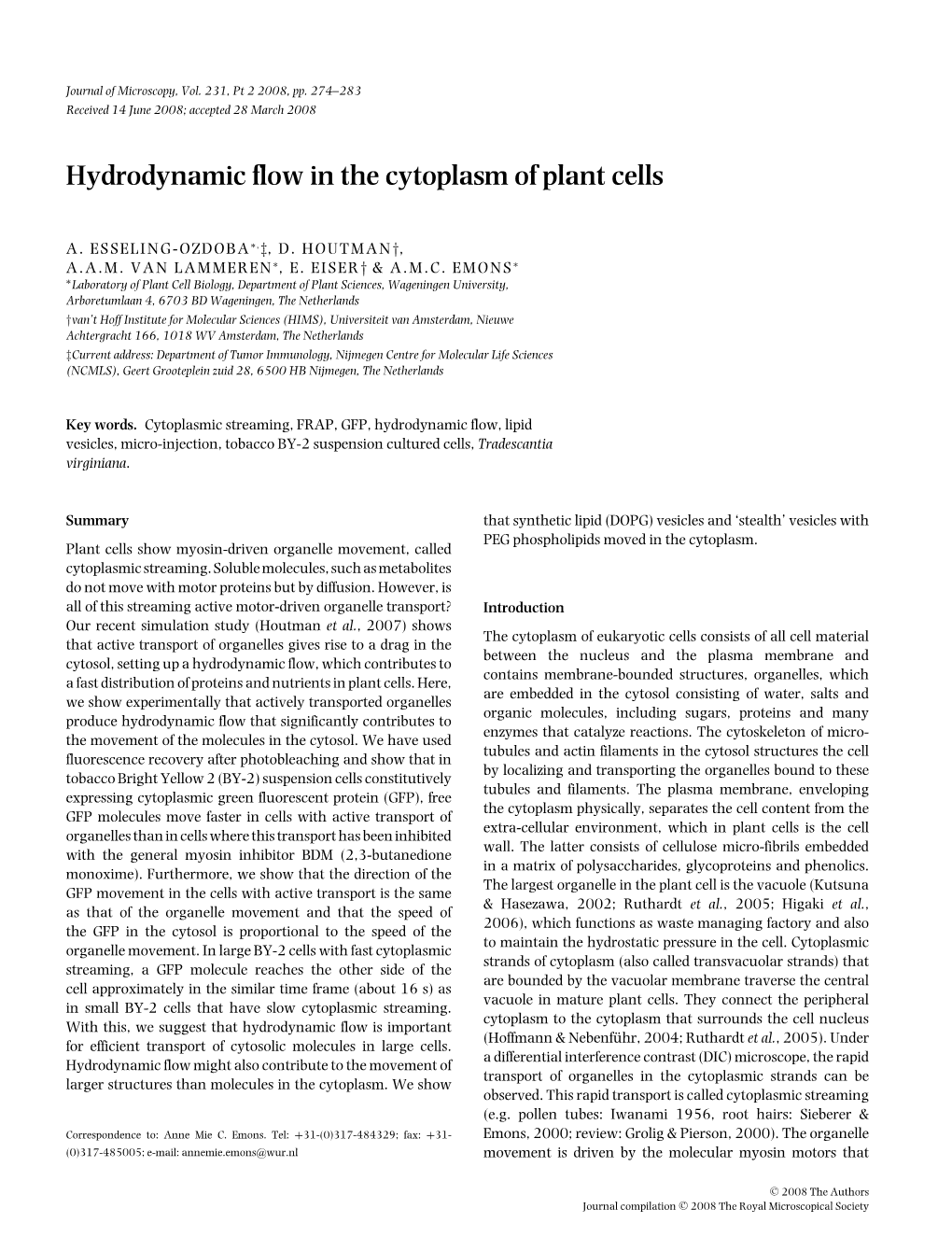 Hydrodynamic Flow in the Cytoplasm of Plant Cells