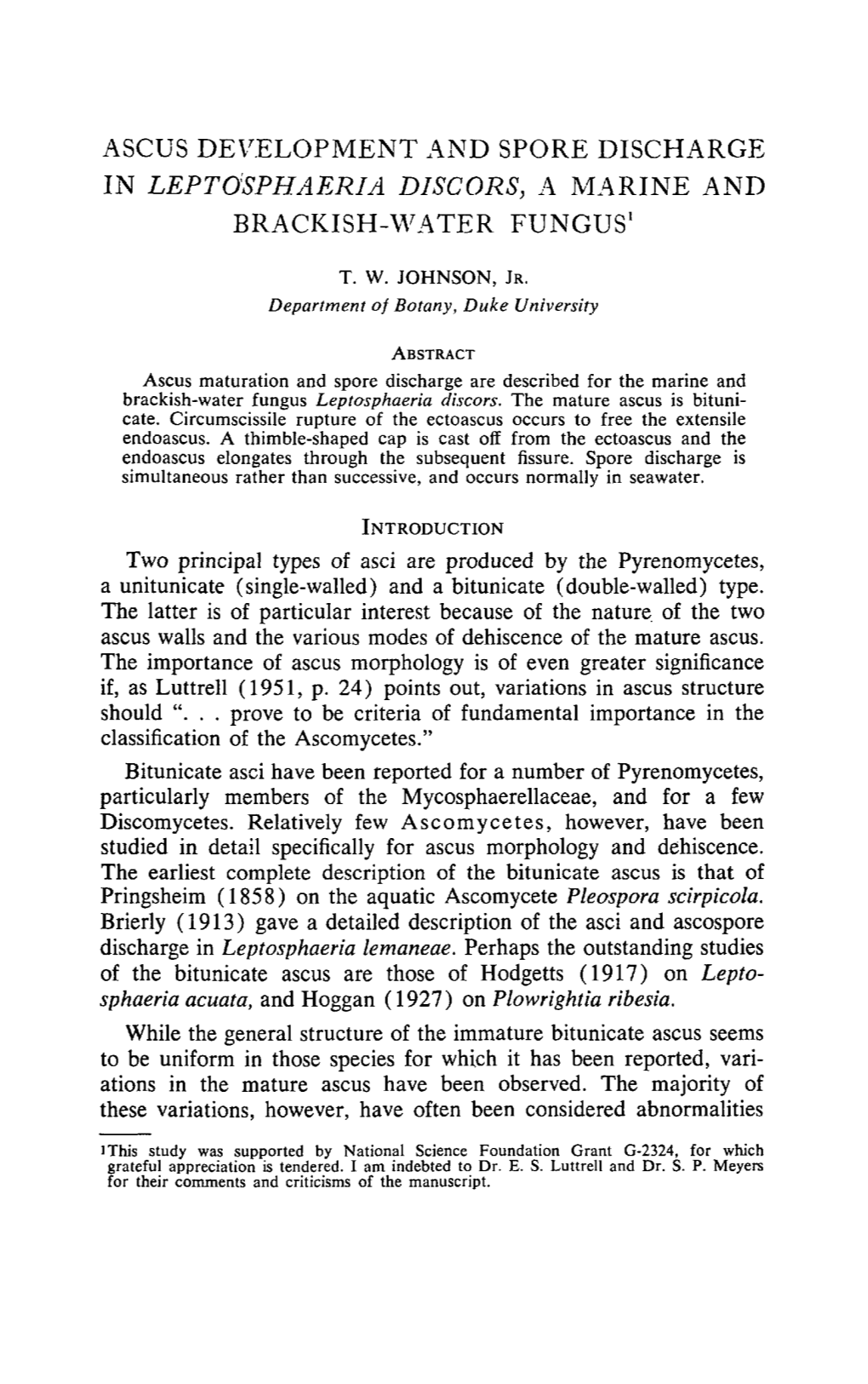 Ascus Development and Spore Discharge in <I