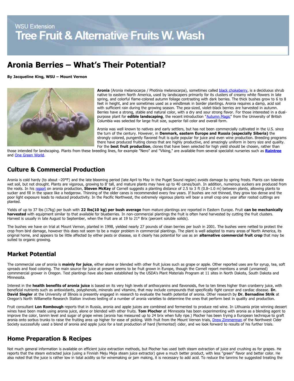 Aronia Berries – What's Their Potential?