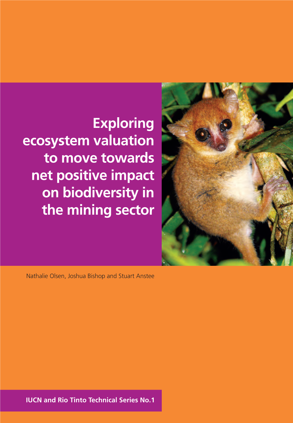 Exploring Ecosystem Valuation to Move Towards Net Positive Impact on Biodiversity in the Mining Sector